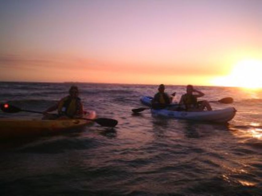 Fort Myers: Guided Sunset Kayaking Tour through Pelican Bay - Sunset Kayaking in Pelican Bay