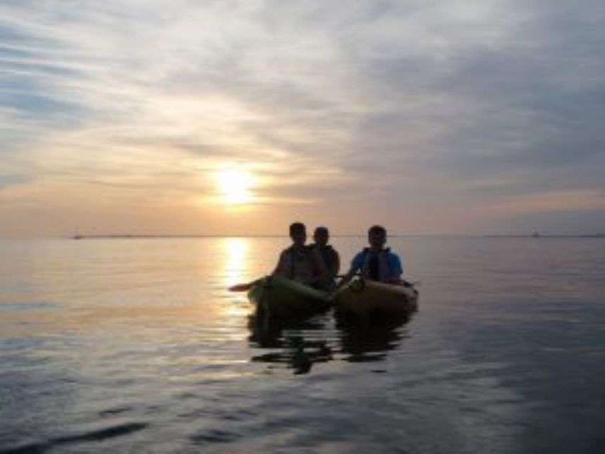 Fort Myers: Guided Sunset Kayaking Tour through Pelican Bay - Wildlife: What You Might See