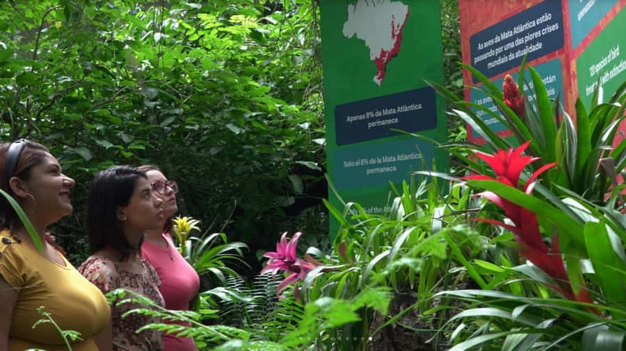 Foz do Iguaçu: Bird Park Tour with Tickets - FAQ