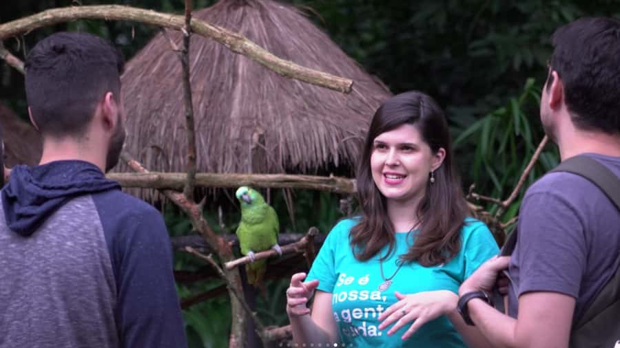 Foz do Iguaçu: Bird Park Tour with Tickets - Beyond birds: reptiles, alligators, moths, and bees