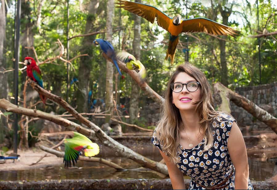 Foz do Iguaçu: Bird Park Tour with Tickets - The flamingo lake and the end of the route