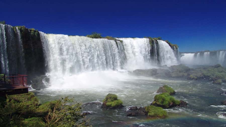 Foz do Iguaçu: Brazilian Side of the Falls + Bird Park - Walking the Brazilian Falls trail