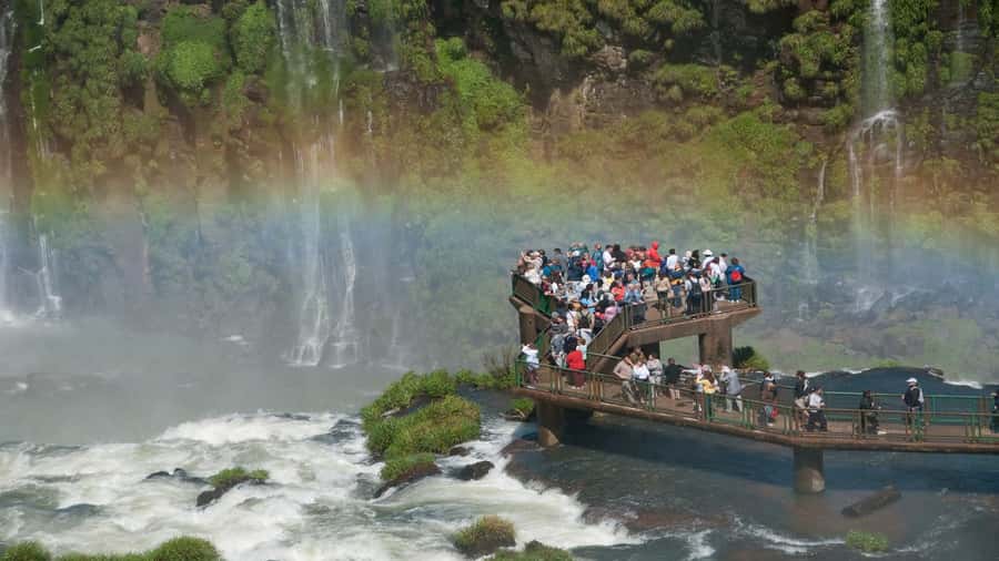 Foz do Iguaçu: Brazilian Side of the Falls + Bird Park - Starting with the Bird Park