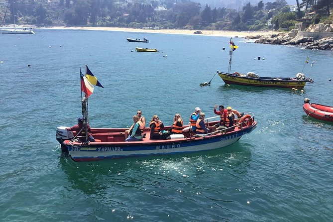 Fr VALPO: WILD PENGUINS, SEALION, SANDBOARD, PARAGLIDING & PICNIC - Viña del Mar and the Pacific coast