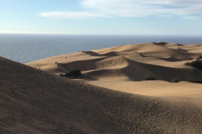 Fr VALPO: WILD PENGUINS, SEALION, SANDBOARD, PARAGLIDING & PICNIC - Sandboarding in the Concón dunes