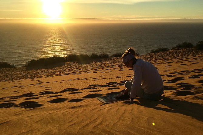 Fr VALPO: WILD PENGUINS, SEALION, SANDBOARD, PARAGLIDING & PICNIC - Timing, group size, and physical effort
