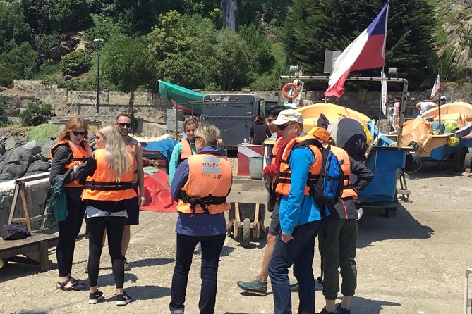 Fr VALPO: WILD PENGUINS, SEALION, SANDBOARD, PARAGLIDING & PICNIC - The boat to the penguins near Zapallar