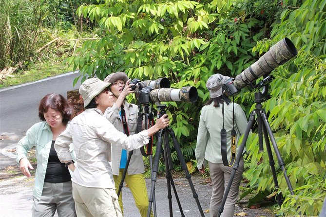 Fraser's Hill Bird-Watching & Nature Sightseeing Tour from Kuala Lumpur - Reaching Bukit Fraser by private minivan