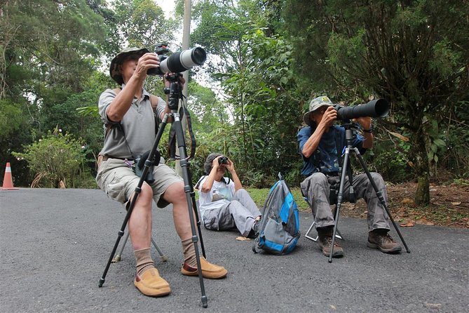 Fraser's Hill Bird-Watching & Nature Sightseeing Tour from Kuala Lumpur - Bird-watching across Fraser’s Hill trails