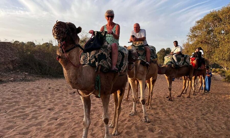 From Agadir: Camel Ride and Flamingo Trek - Key points at a glance