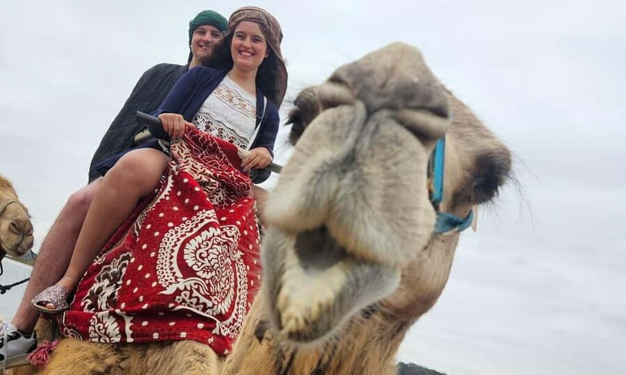 From Agadir: Camel Ride and Flamingo Trek - A camel ride beside the Souss River