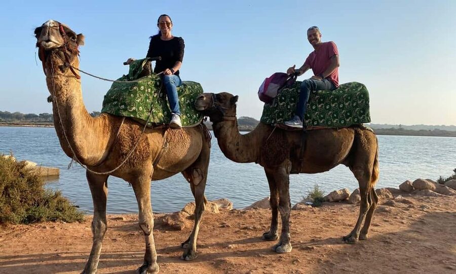 From Agadir: Camel Ride and Flamingo Trek - Animal care and what to look for