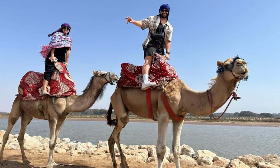 From Agadir: Camel Ride and Flamingo Trek - Mint tea, biscuits, and the photo stop