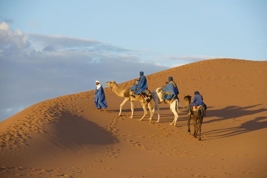 From Agadir: Camel Ride and Flamingo Trek - How the $19 price compares