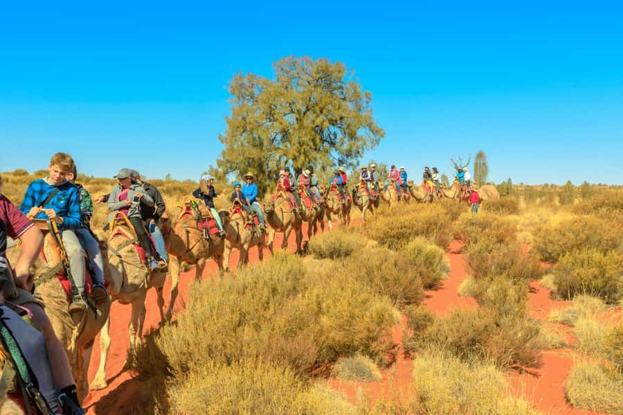 From Agadir or Taghazout: Camel Ride Berber Tour Experience - Camel riding beside the Souss River