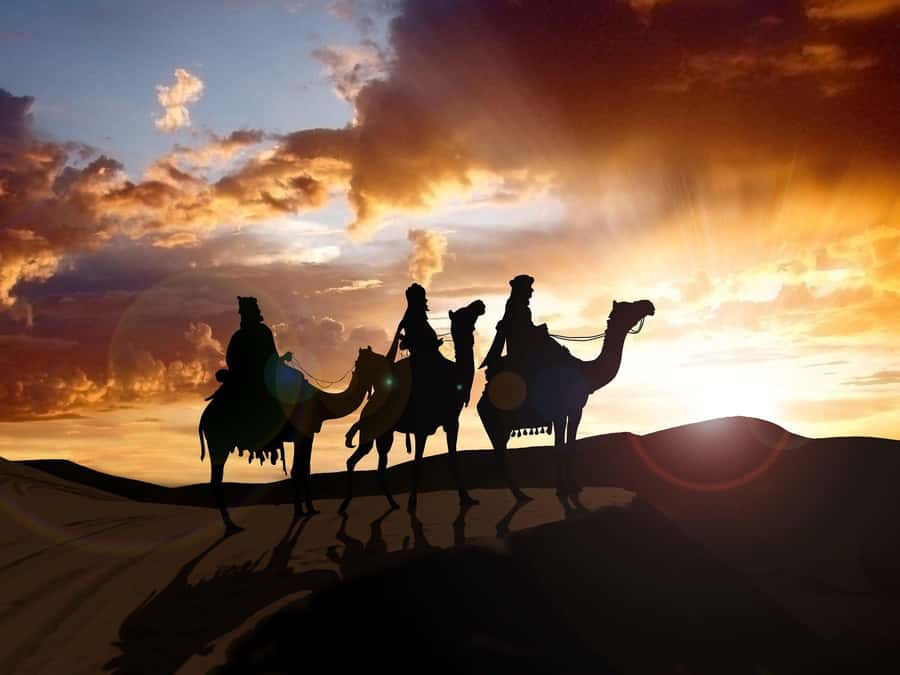 From Agadir or Taghazout: Camel Ride Berber Tour Experience - Looking for flamingos at the river