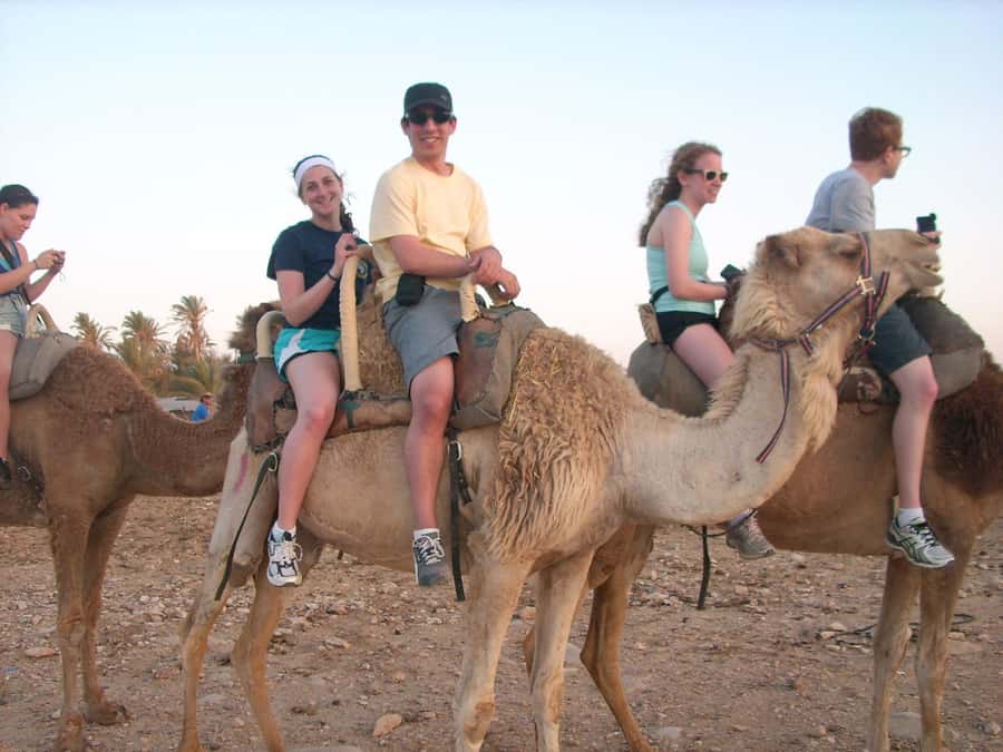 From Agadir or Taghazout: Camel Ride Berber Tour Experience - Mint tea and the optional barbecue