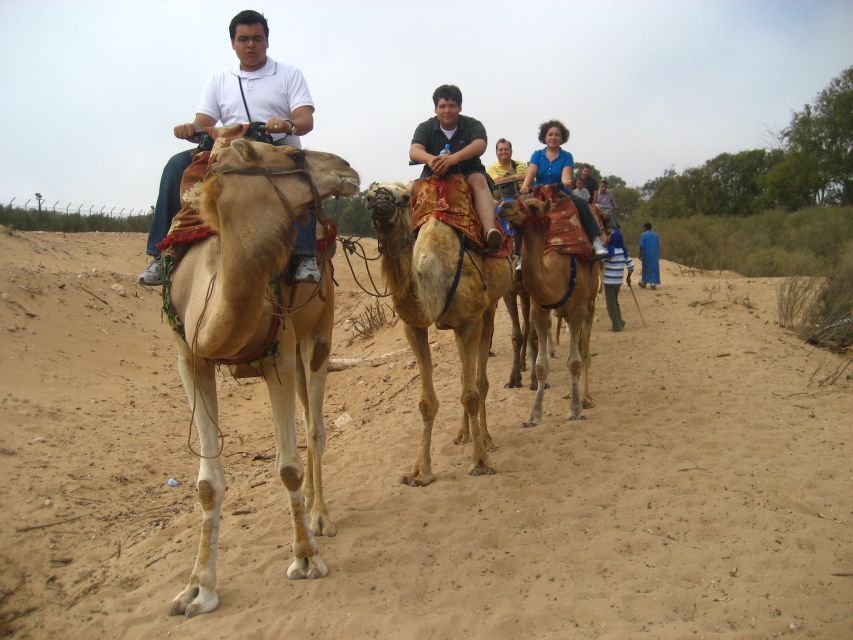 From Agadir or Taghazout: Camel Ride Berber Tour Experience - Is $27 a fair price?