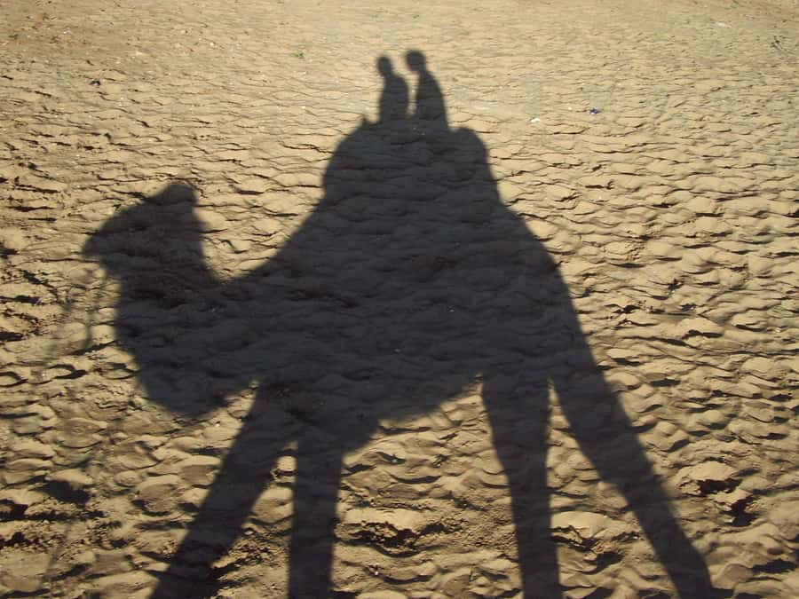 From Agadir or Taghazout: Camel Ride Berber Tour Experience - Who will enjoy this ride most?