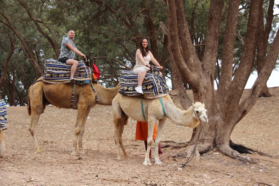 From Agadir or Taghazout: Camel Ride Berber Tour Experience - Through the eucalyptus forest