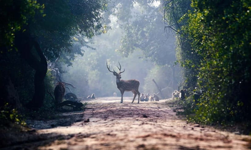 From Agra: Taj Mahal, Fatehpur Sikri & Bird Safari Tour - Key points to know before booking