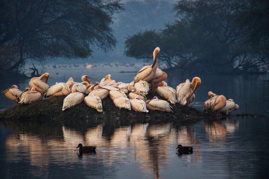 From Agra: Taj Mahal, Fatehpur Sikri & Bird Safari Tour - Practical details that affect your choice