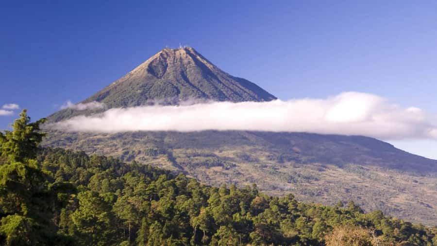 From Antigua Guatemala: Birdwatching and Scenic Hiking Tour - A forest escape just outside Antigua