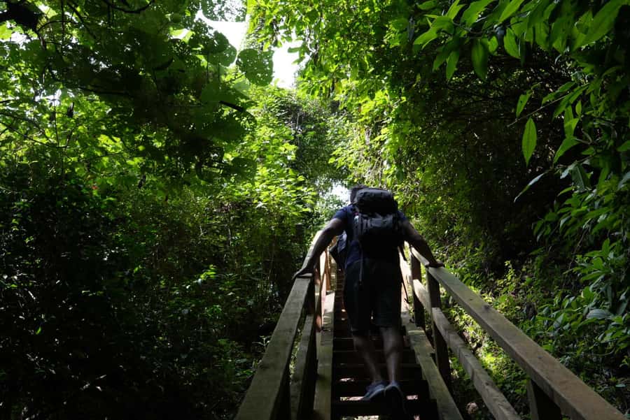 From Antigua Guatemala: Birdwatching and Scenic Hiking Tour - Is $95 a fair price?