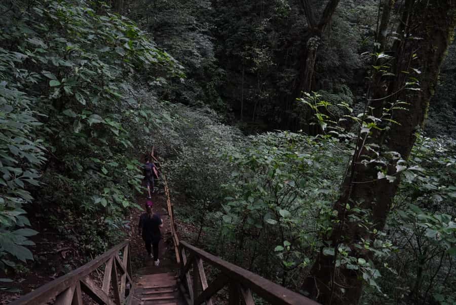 From Antigua Guatemala: Birdwatching and Scenic Hiking Tour - Who will enjoy this most