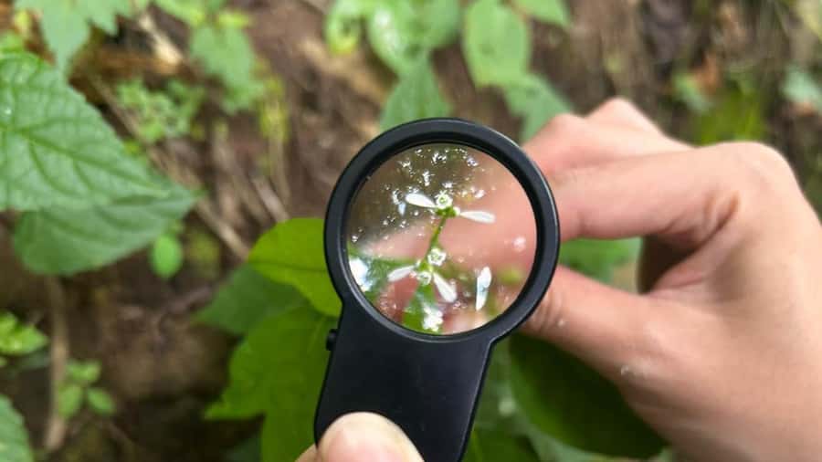 From Antigua Guatemala: Birdwatching and Scenic Hiking Tour - My booking advice