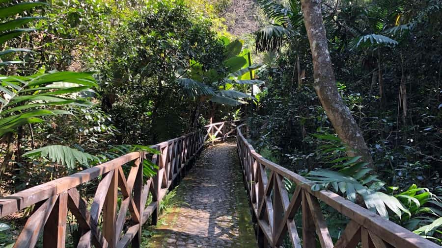 From Antigua Guatemala: Birdwatching and Scenic Hiking Tour - Starting low, where the birds gather