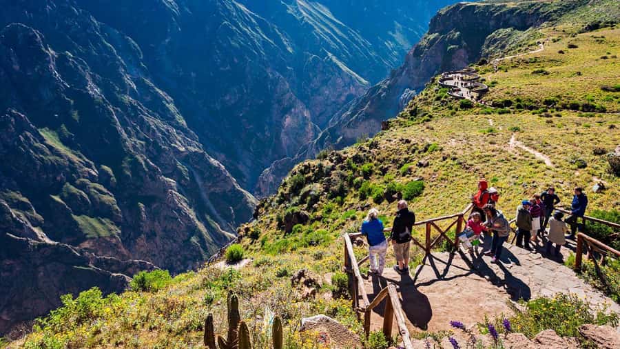 From Arequipa: Colca Canyon and Condor Watching Day Trip - Key points to know before booking