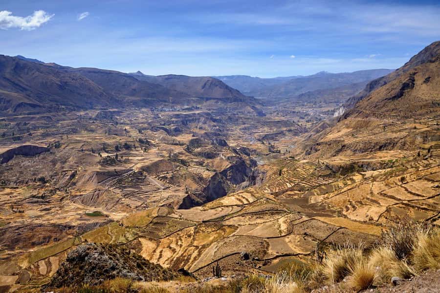 From Arequipa: Colca Canyon and Condor Watching Day Trip - A 3:00 am start from Arequipa