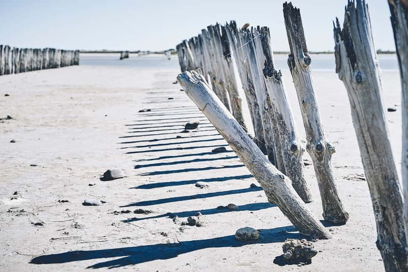 From Avignon: Camargue Tour with Bird Park Entry - Key points to know before booking