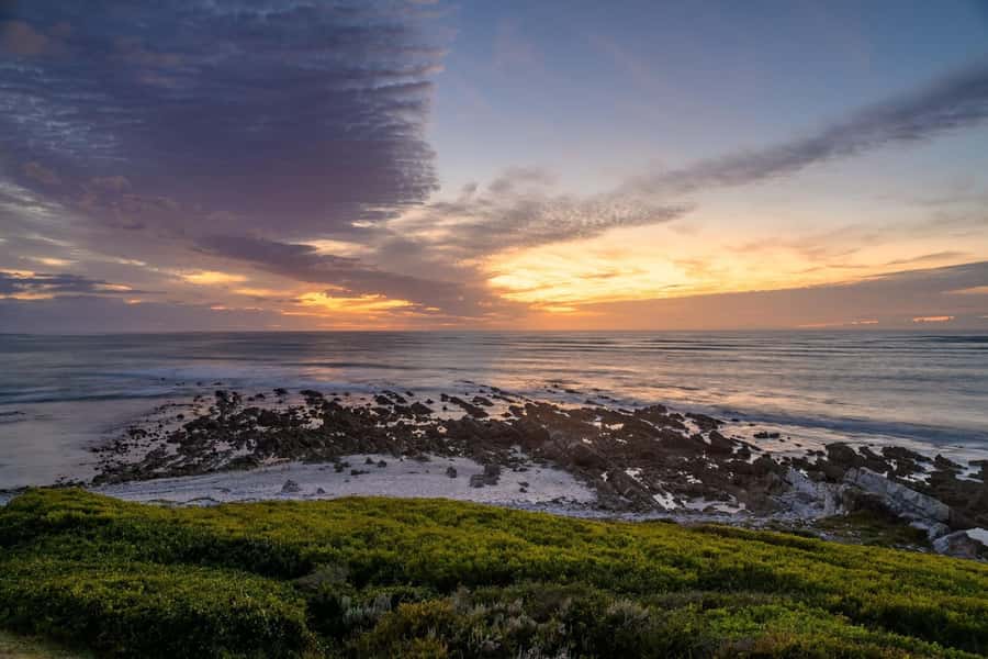From Cape Town: Cape Agulhas, Penguins, Wine Tasting Tour - Is $214 good value?