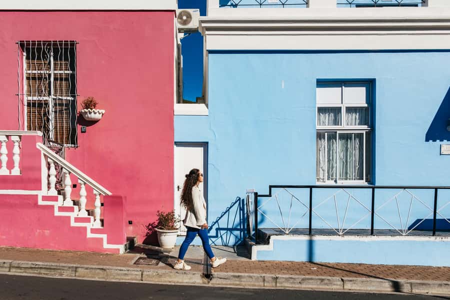 From Cape Town: Cape Peninsula & Boulders Penguin Beach Tour - Camps Bay, Hout Bay, and the optional seal cruise