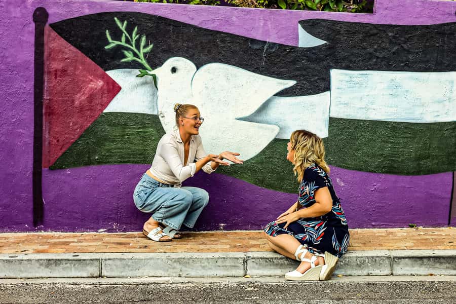 From Cape Town: Half-Day Boulders Beach and Penguins Tour - Chapman’s Peak Drive above Hout Bay