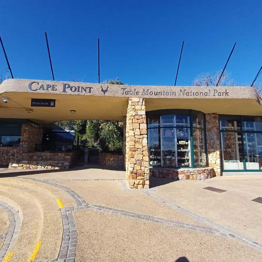 From Cape Town: Half Day Cape Point & Penguins Tour - A fast route to Cape Town’s big peninsula sights