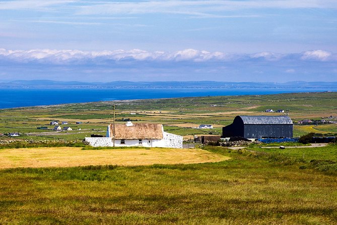 From Dublin: Cliffs of Moher, Bird of Prey & Aillwee Cave - Two hours at the Cliffs of Moher