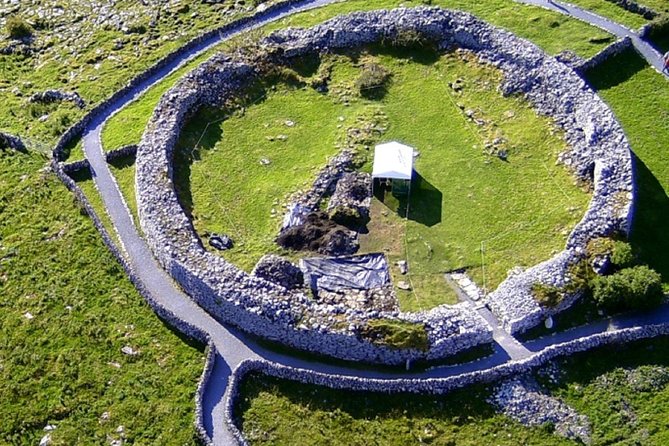 From Dublin: Cliffs of Moher, Bird of Prey & Aillwee Cave - The guides can shape the whole day
