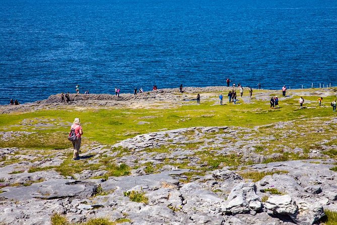 From Dublin: Cliffs of Moher, Bird of Prey & Aillwee Cave - Coach comfort, group size, and the value of the price