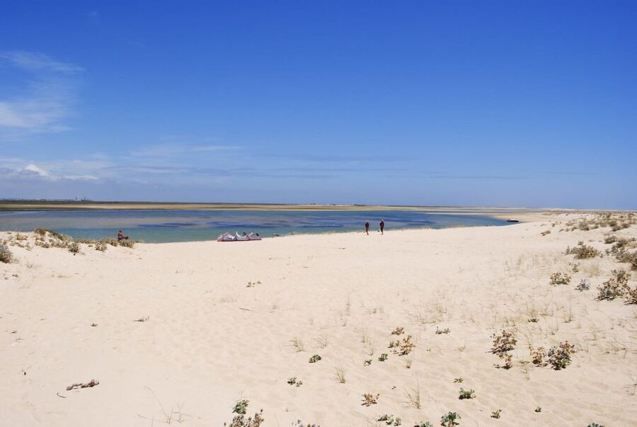 From Faro: 2-Hour Guided Bird Watching Boat Trip - Passing oyster and clam farms