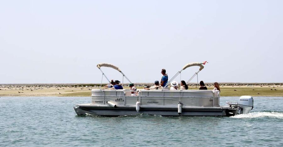 From Faro: 2-Hour Guided Bird Watching Boat Trip - The return through Faro’s waterways