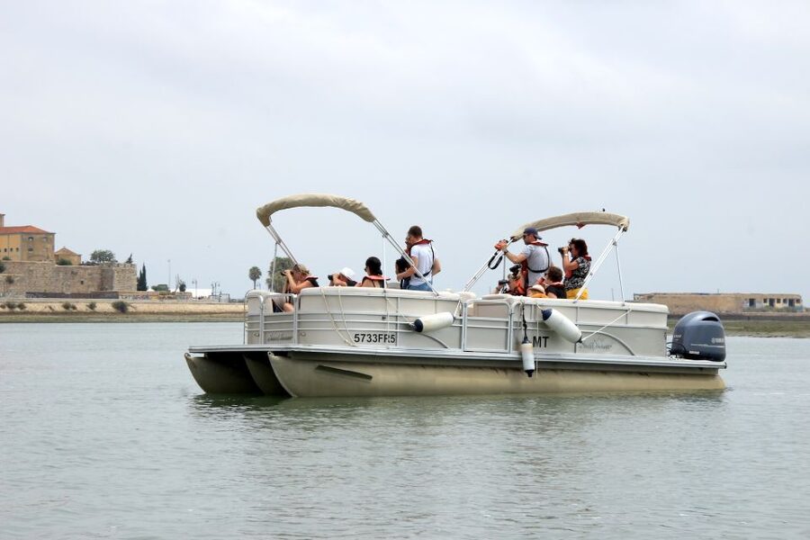 From Faro: 2-Hour Guided Bird Watching Boat Trip - Weather, clothes, and comfort on the water
