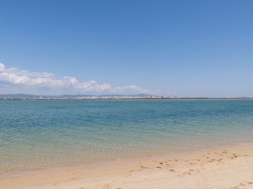 From Faro: 2-Hour Guided Bird Watching Boat Trip - Following the channels through the natural park
