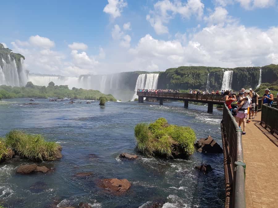 From Foz do Iguaçu: Brazilian Falls and Bird Park Tour - Key points to know before you book