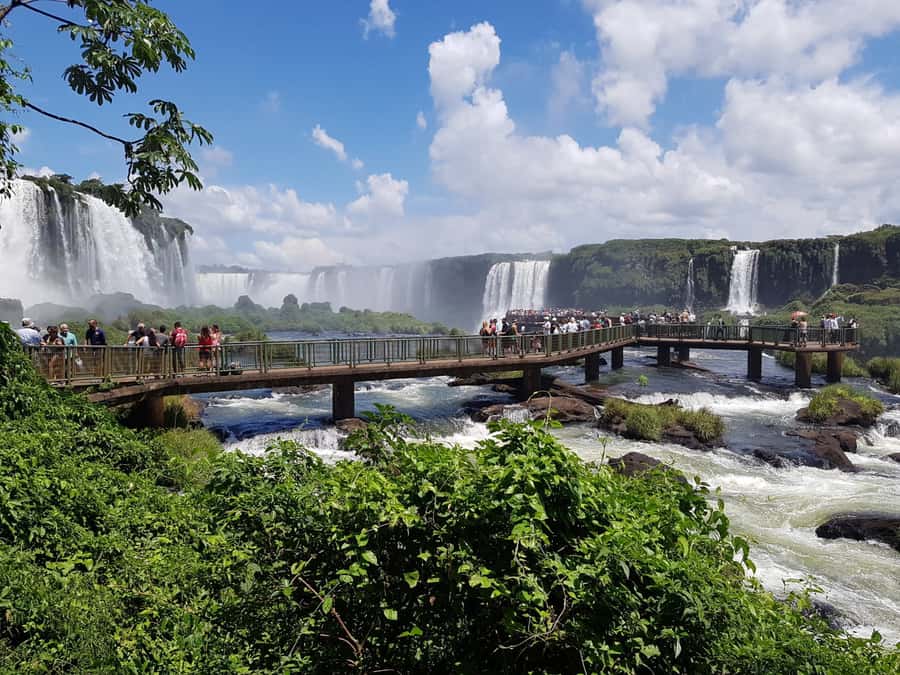 From Foz do Iguaçu: Brazilian Falls and Bird Park Tour - Bird Park gives this half-day tour its first surprise
