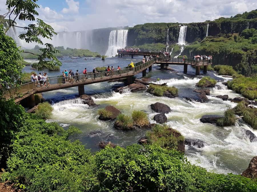 From Foz do Iguaçu: Brazilian Falls and Bird Park Tour - Guides Fabio and Claudio add value beyond transportation