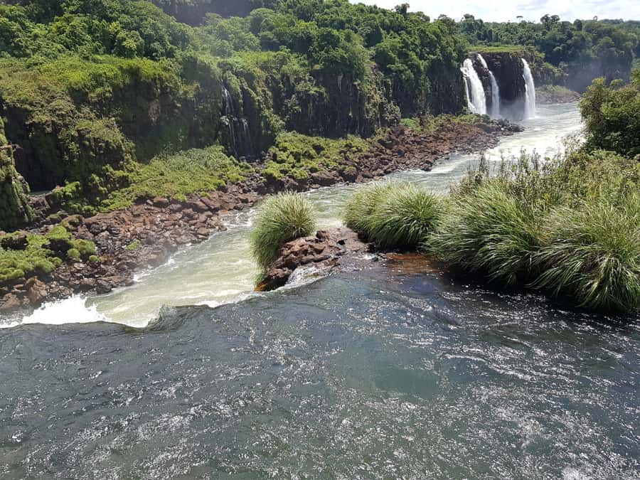 From Foz do Iguaçu: Brazilian Falls and Bird Park Tour - Who should book this Iguazu Falls combination?