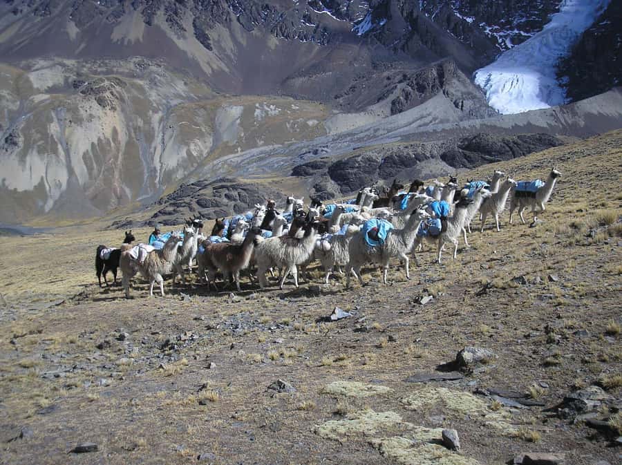 From La Paz: Condoriri Andes, Pico Austria Full Day Hiking - Who should book this hike